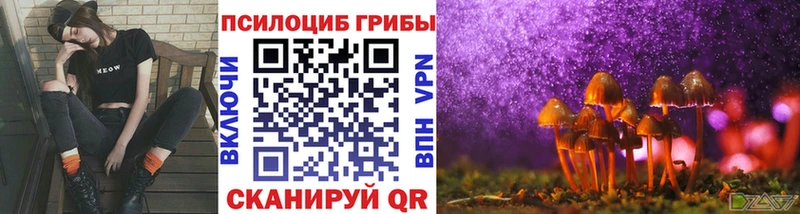 Галлюциногенные грибы мицелий  Ужур 